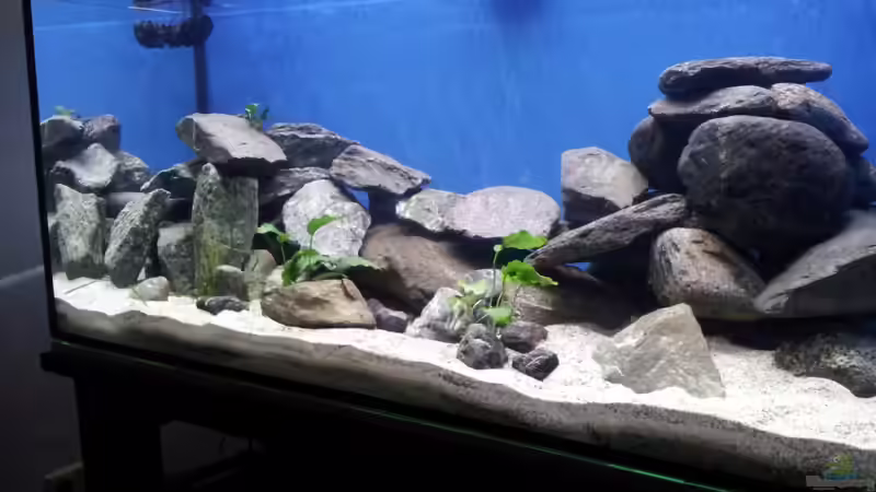 Becken1 von Silvio25 (2)