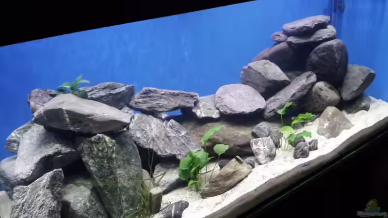 Becken2 von Silvio25 (3)