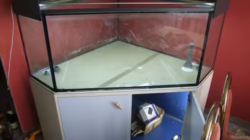 Beckenankunft der Umbau kann los gehen von wadde (4)