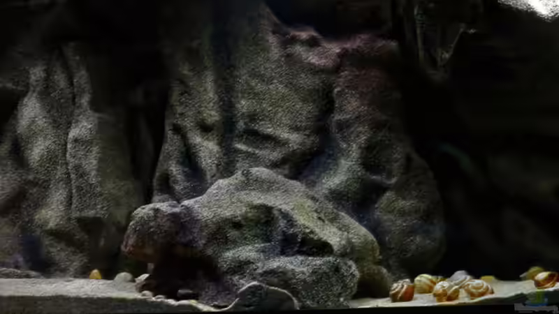 Beckenansicht ..... von AjakAndi (9)