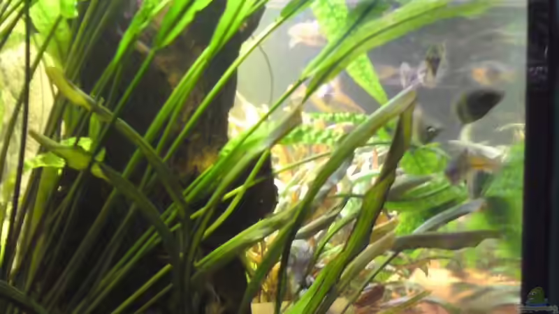 Beckenansicht - links von Aquathor (4)