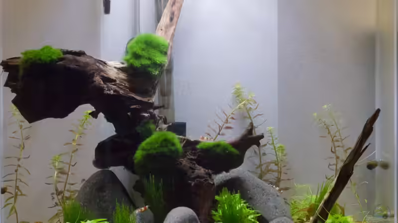 Beckenansicht 16.11.2013 von GoreSlayer (5)