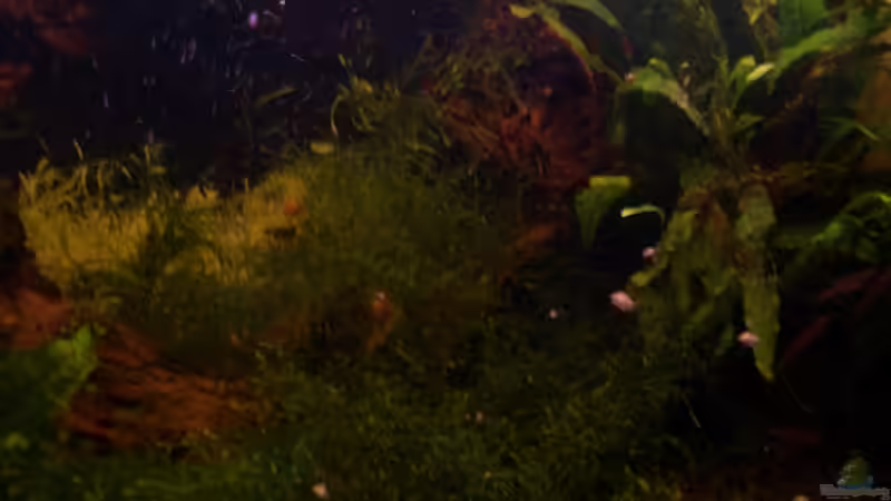 Beckenansicht 4 von Thomas Zips (8)