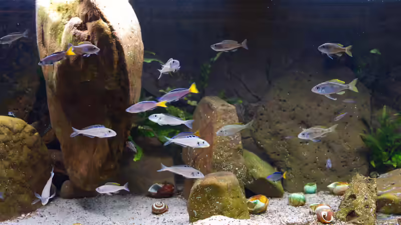 Beckenansicht Februar 2022 von ravaka (17)