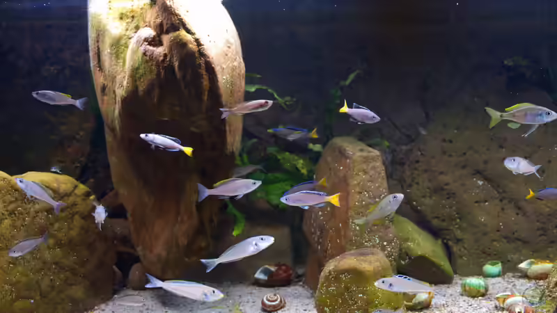 Beckenansicht Februar 2022 von ravaka (19)