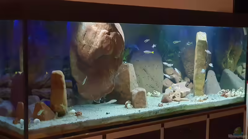 Beckenansicht Februar 2022 von ravaka (21)