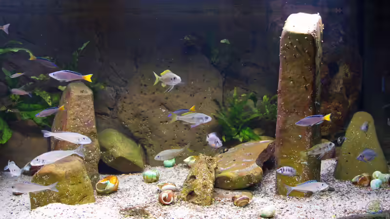 Beckenansicht Februar 2022 von ravaka (22)