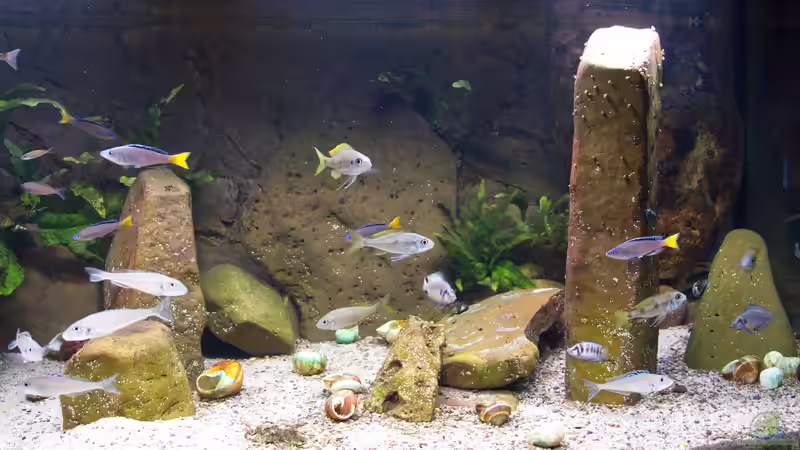 Beckenansicht Februar 2022 von ravaka (23)