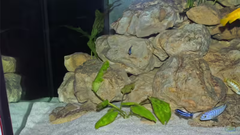 Beckenansicht links von Antje Raasch (2)