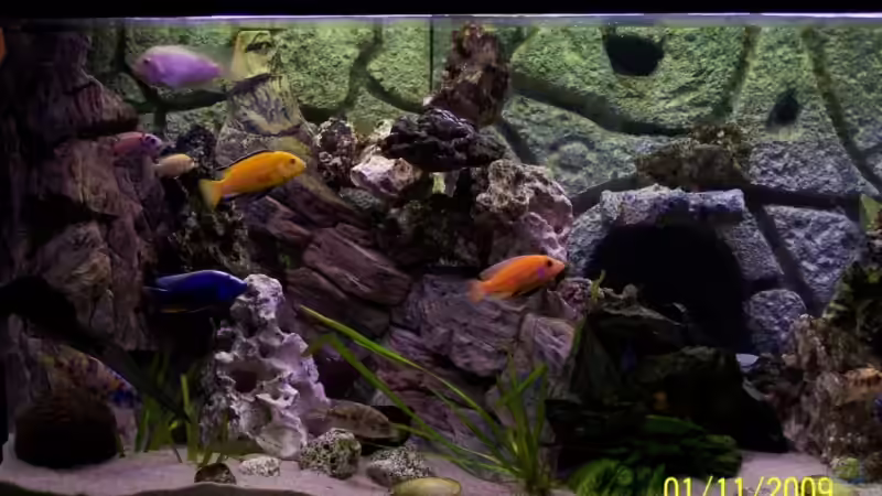 Beckenansicht links von Dicker Udo (6)