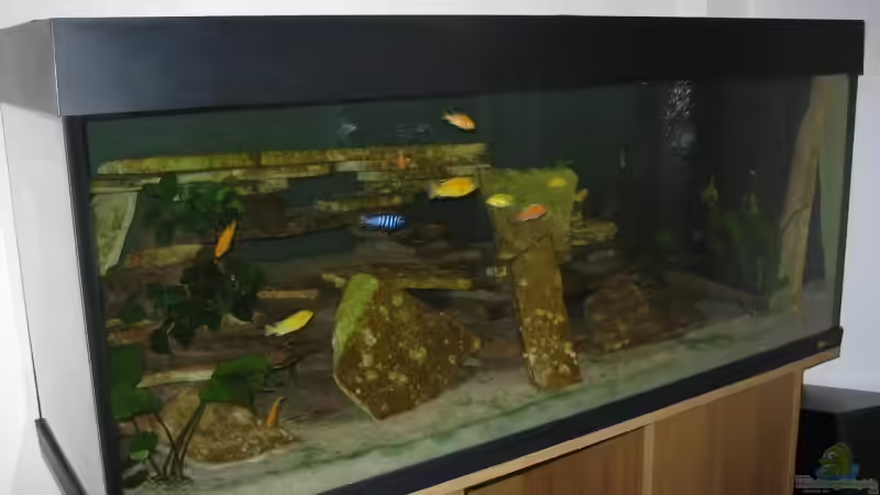 Beckenansicht mit Besatz von Dennis Eick (1)