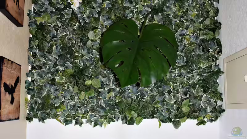 Beckenansicht mit den Pflanzmatten von David Schneider Aquaristik (2)