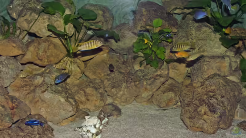 Beckenansicht Mitte von Antje Raasch (3)