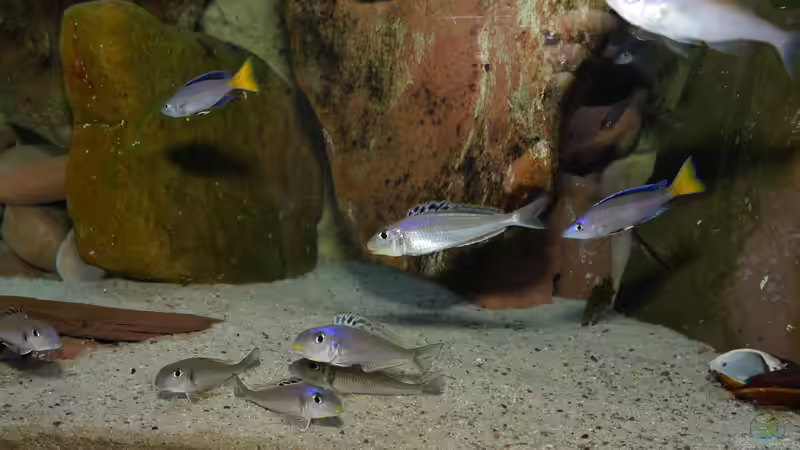 Beckenansicht Oktober 2022 von ravaka (4)