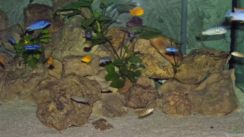 Beckenansicht rechts von Antje Raasch (4)