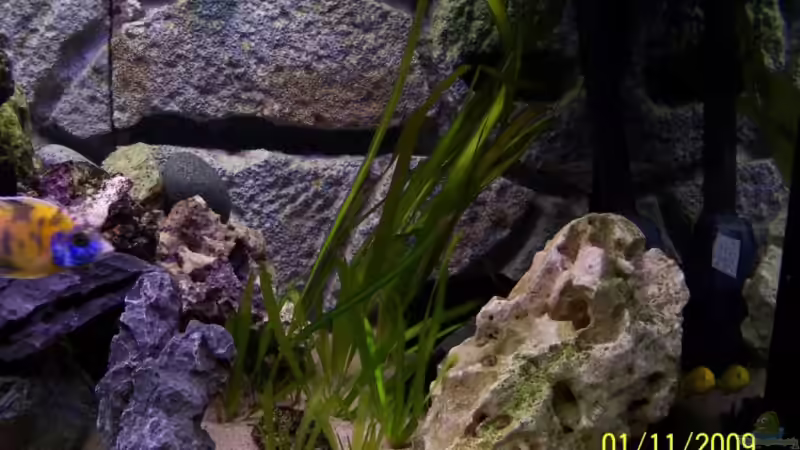 Beckenansicht rechts von Dicker Udo (4)