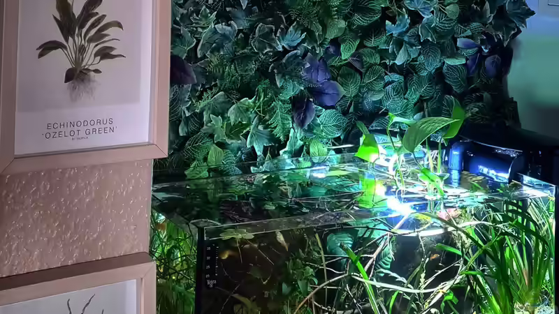 Beckenansicht von dem Flur aus von David Schneider Aquaristik (11)