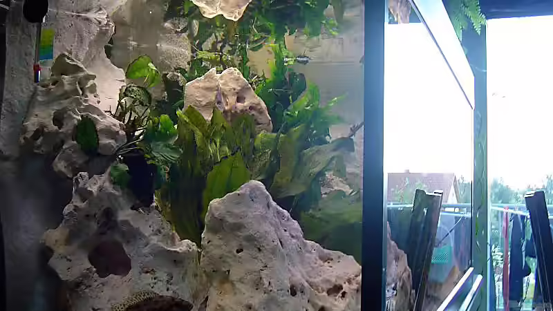 Beckenansicht von der Seite von Steffen Abicht (2)