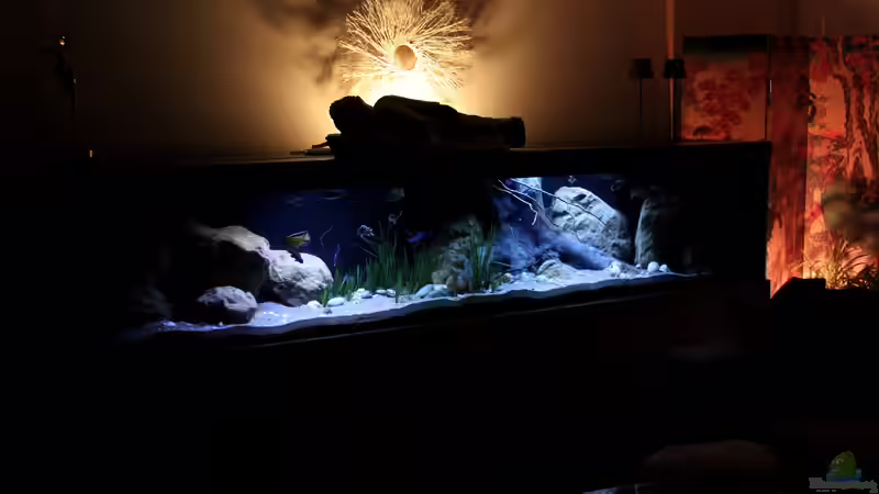 Beckenansicht von Florian Bandhauer (3)