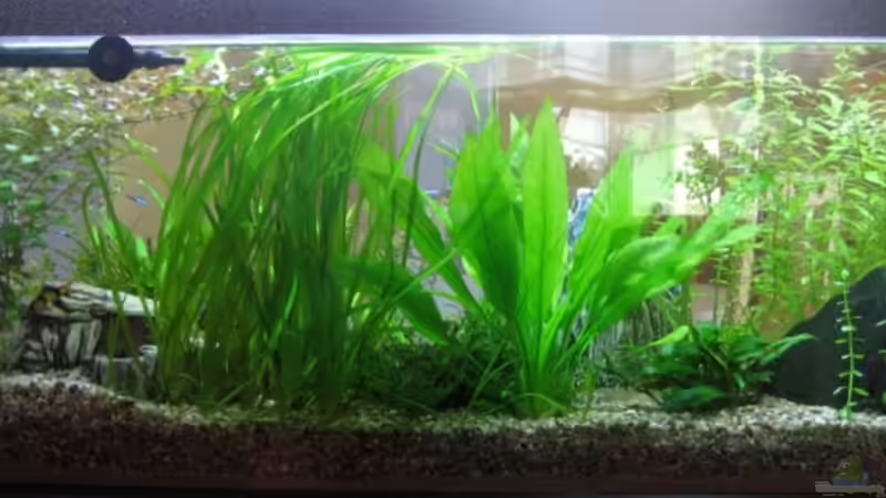 Beckenansicht von hinten von Jens Friemel (2)