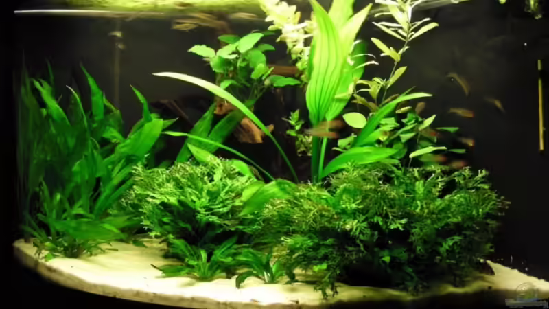 Beckenansicht von rechts von Steffen Koca (3)