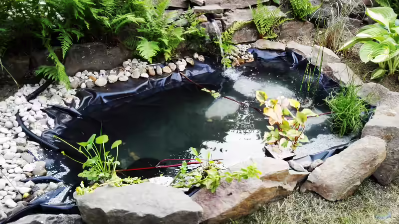 Beckenansicht von schräg vorne. Verkleidung der Teichfolie mir Natursteinen von David Schneider Aquaristik (3)