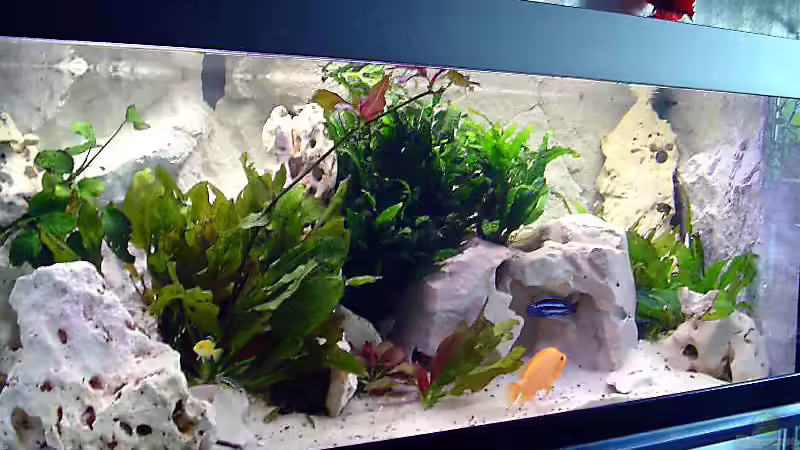 Beckenansicht von vorn von Steffen Abicht (3)