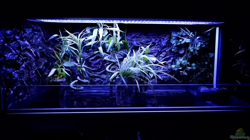 Beckenaufbau bei Nacht von snooze (13)