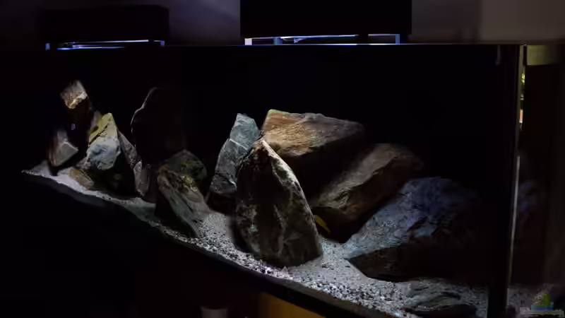 Beckenaufnahme .. schräg von der Seite [wegen Platzmangel] ..  von AjakAndi (6)