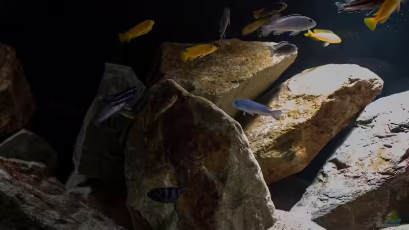 Beckenaufnahme - entfesselter Blitz .. von AjakAndi (8)