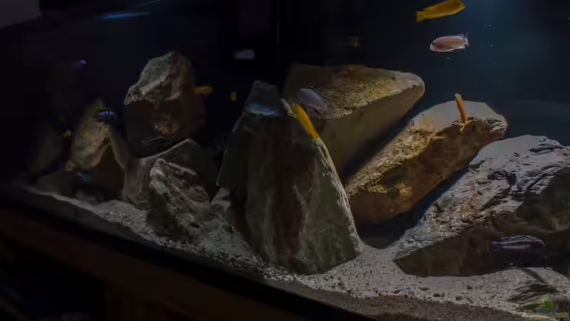 Beckenaufnahme - entfesselter Blitz .. von AjakAndi (9)