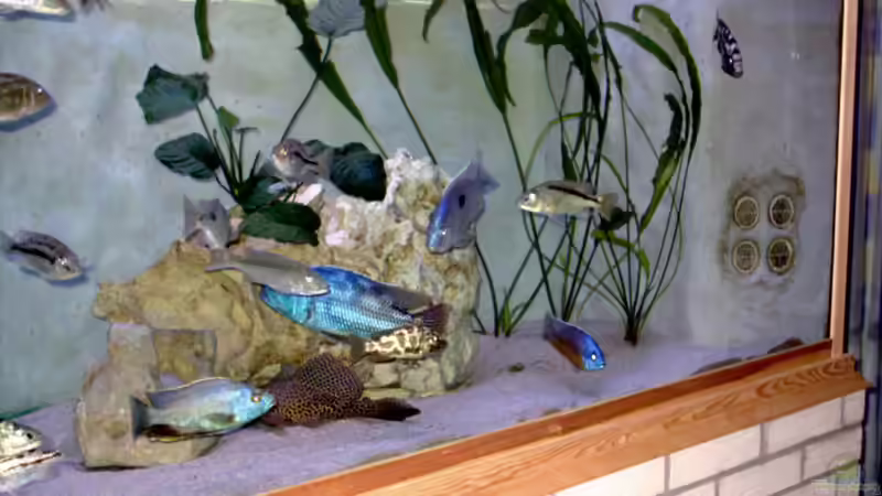 Beckenausschnitt 300x70x60cm von Wolfgang Schlader (3)