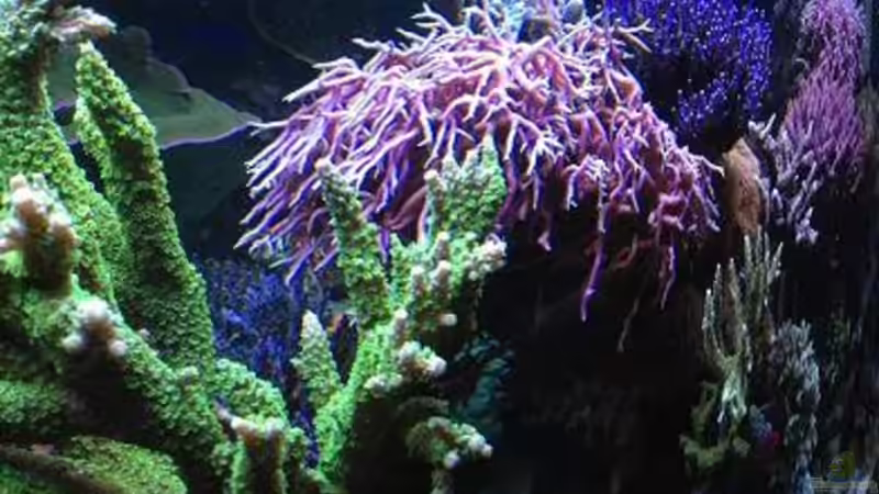 Beckenausschnitt von Frank Haipeter (8)