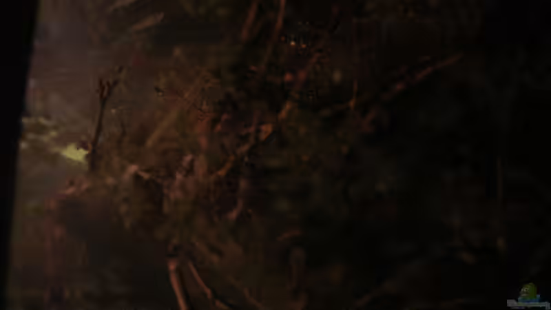 Beckendraufsicht 07.06.2013 (ohne Beleuchtung) von Südamerikafreak BK (15)