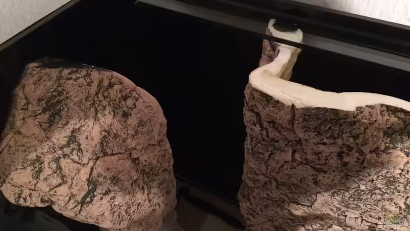 Beckenecke links von Branjo (22)