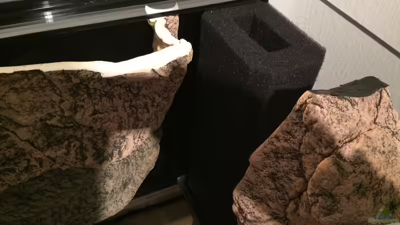 Beckenecke rechts von Branjo (21)