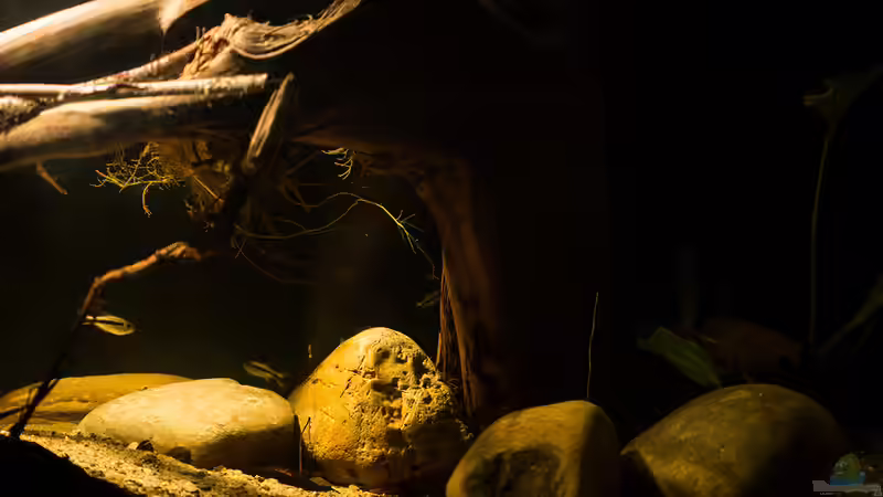 Beckeneindrücke ....  von AjakAndi (2)