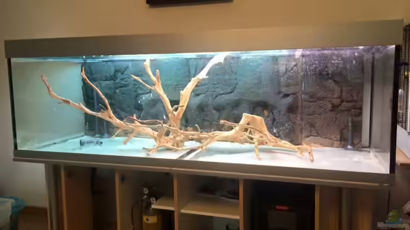 Beckeneinrichtung  von Marcus Lucke (2)