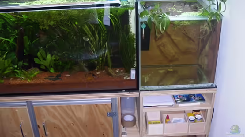 Beckenerweiterung Zucht.-u. Quarantänebecken von Werner Müller (5)