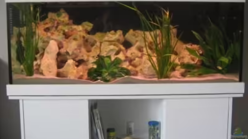 Beckenfoto 12.06.2008 von Mathias Schlett (1)