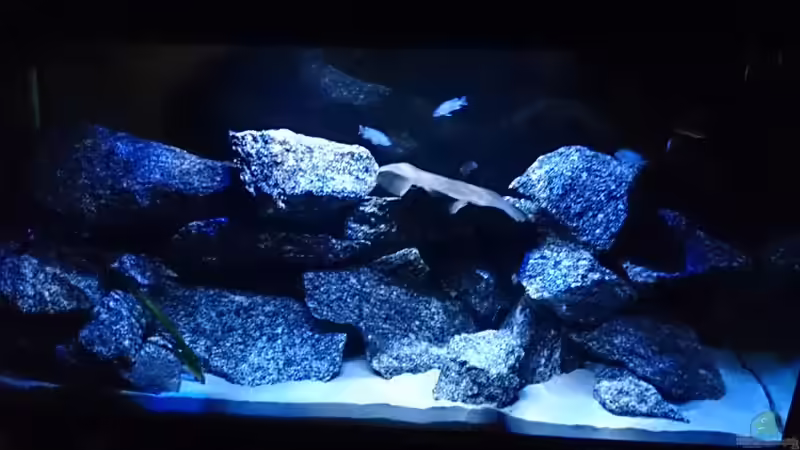 Beckenfront von der Essecke von Florian Suft (6)