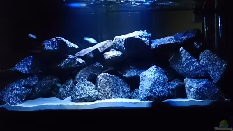 Beckenfront von der Sofaseite von Florian Suft (5)