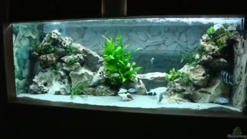 Beckengrö??e 200x67x70