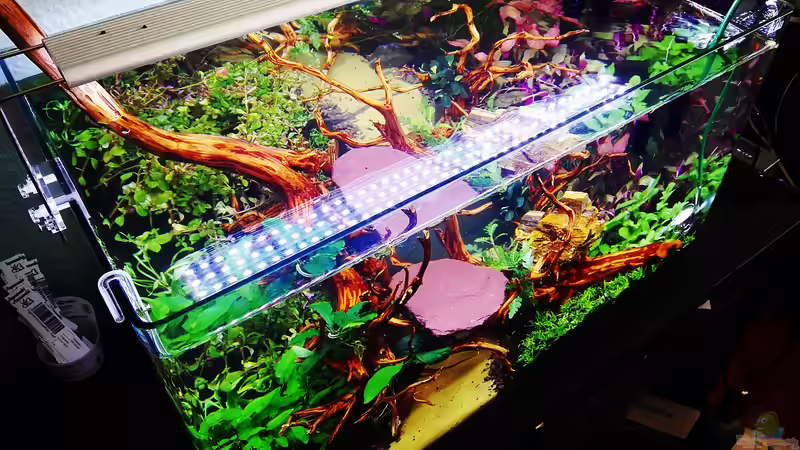 Beckenhauptbild 10.0.04.2020 von Sarah_Schneider (1)