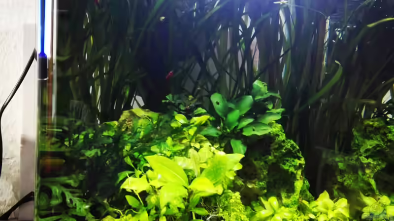 Beckenhauptbild von Sarah_Schneider (1)