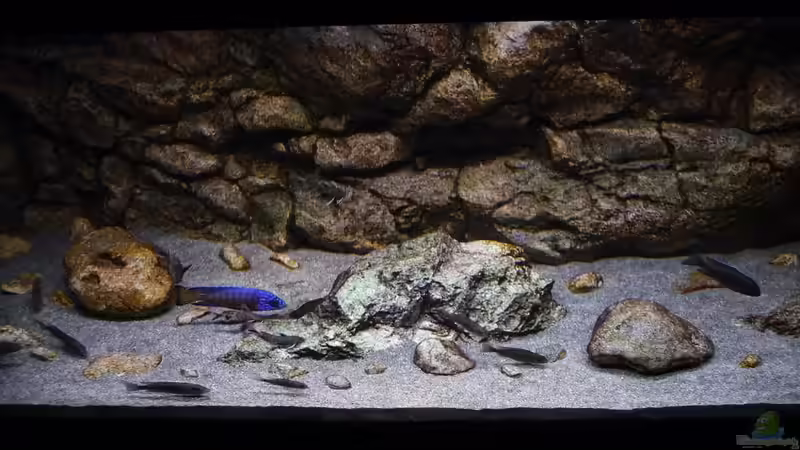 Beckenmitte 02.11.2014 von DER YBBSTALER (30)