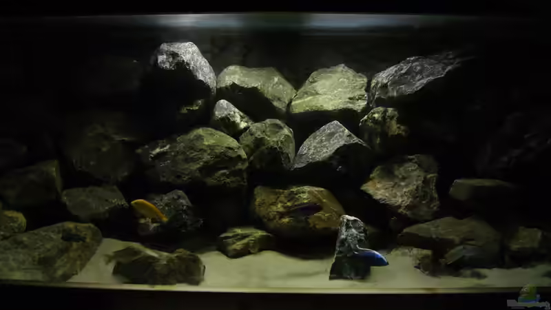 Beckenmitte 2 von Poybuna (3)