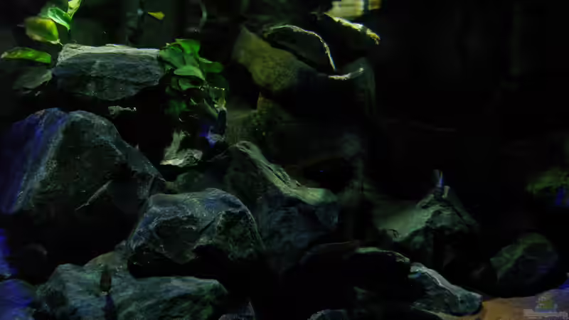 Beckenmitte im Schummerlicht von bossie1704 (42)