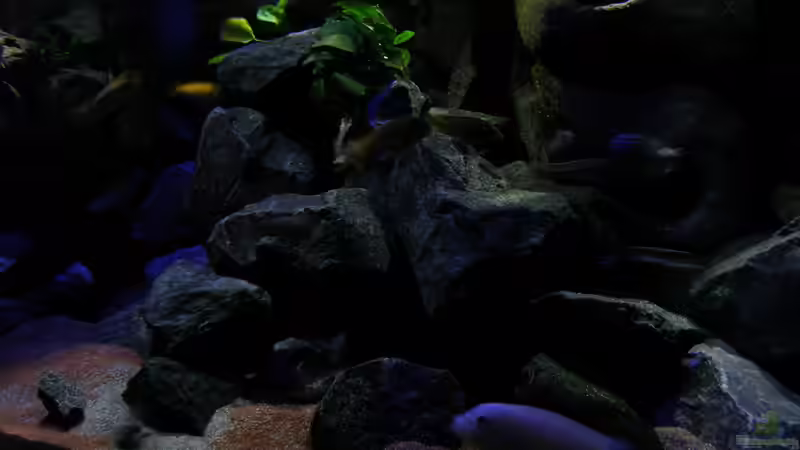 Beckenmitte in der Dämmerung von bossie1704 (40)