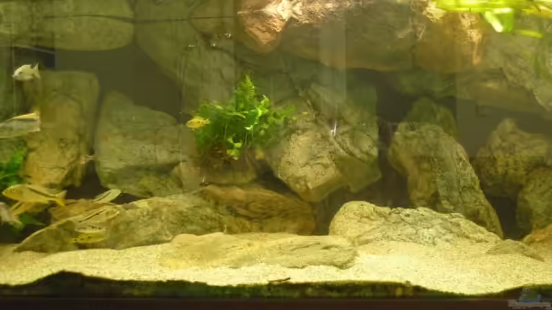 Beckenmitte von Crenii (7)